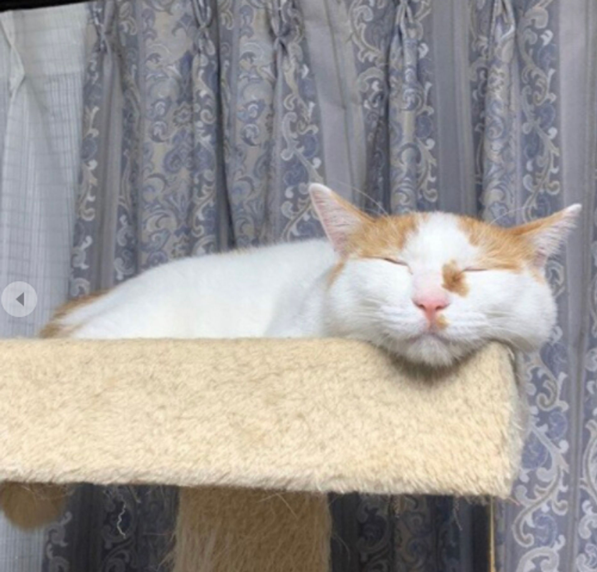 thumbnail-4