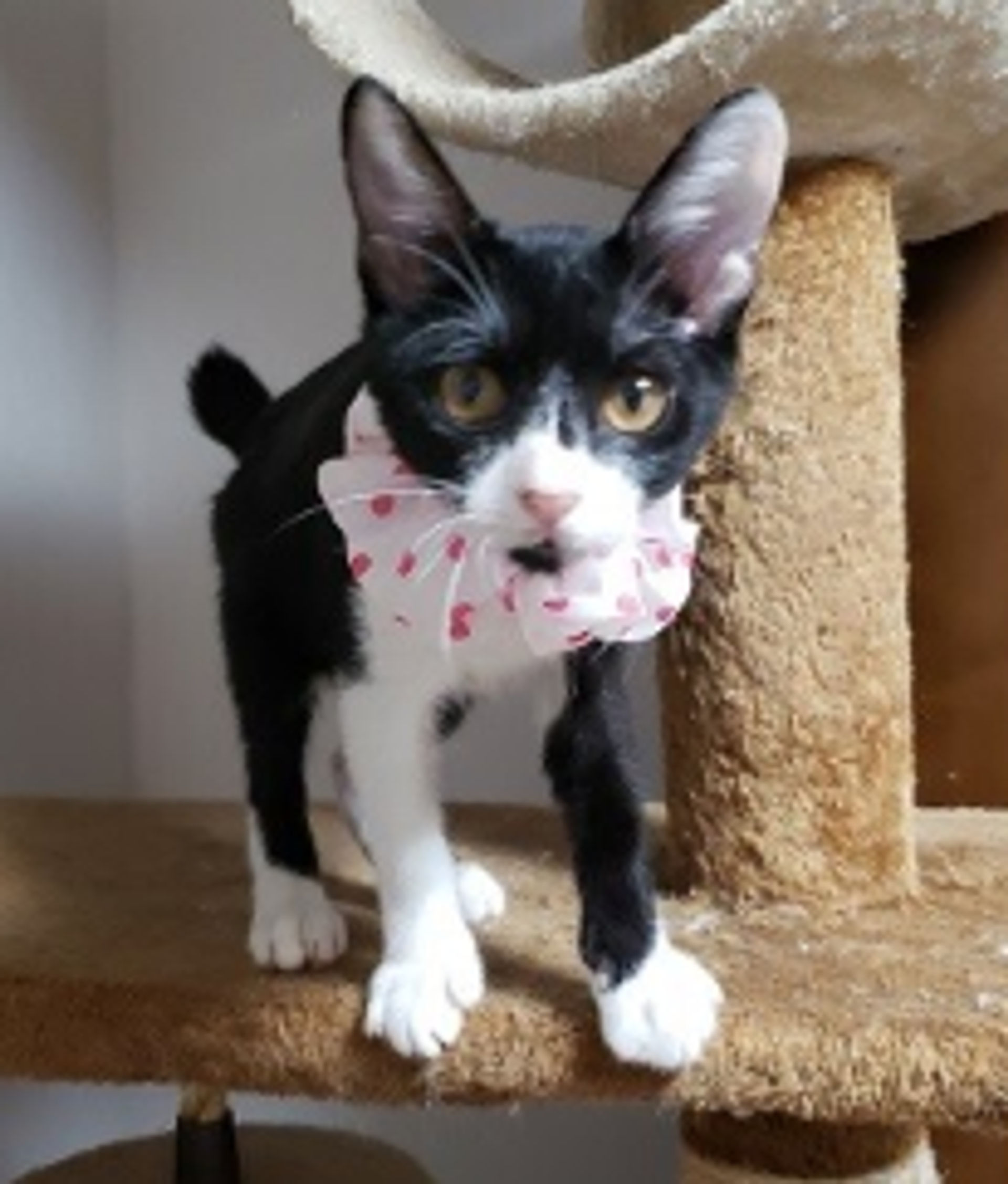 thumbnail-2