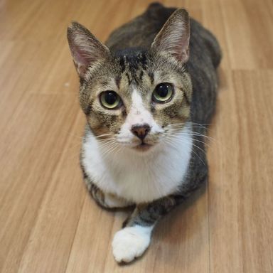 ごうきの写真
