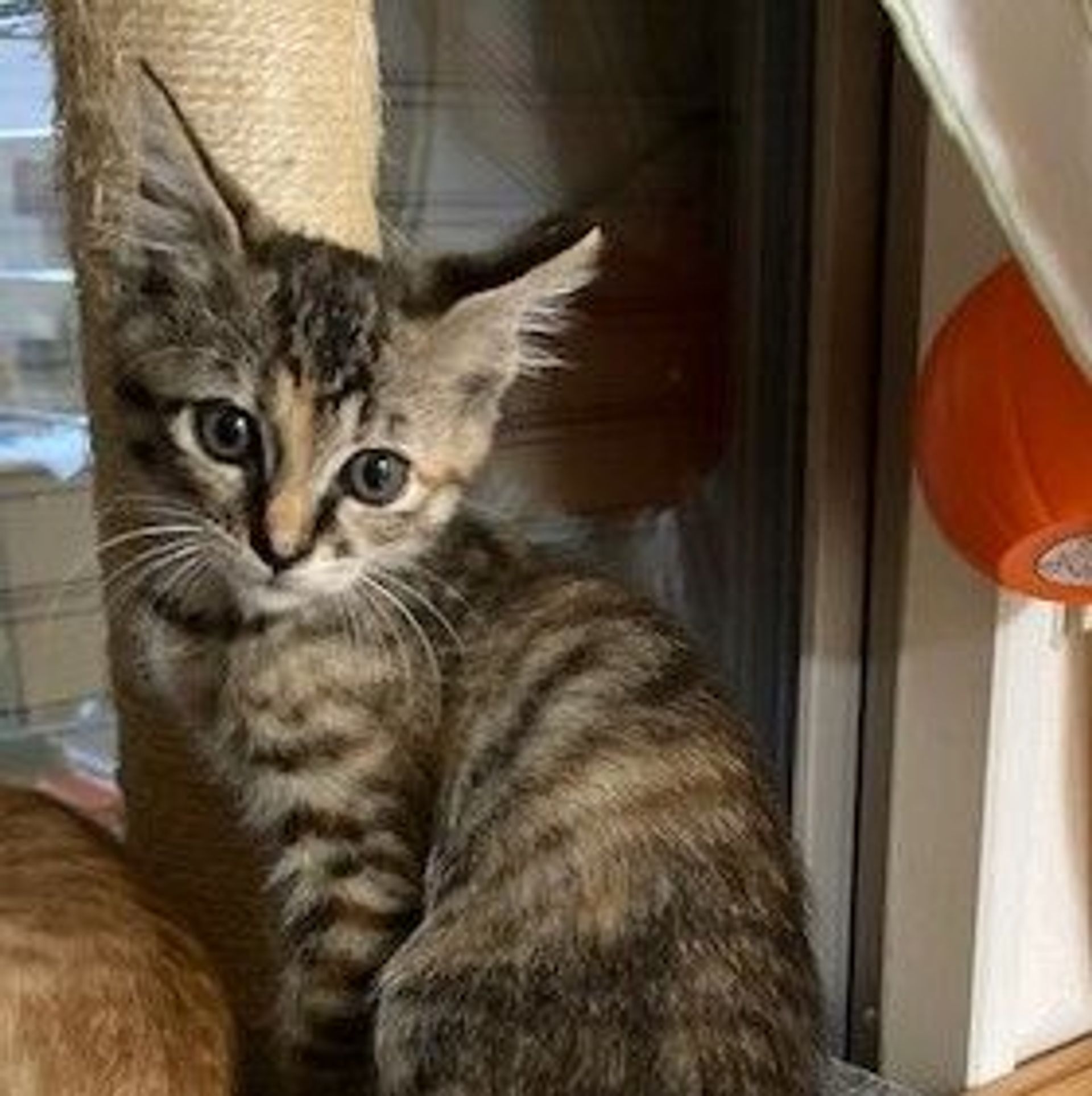 thumbnail-8
