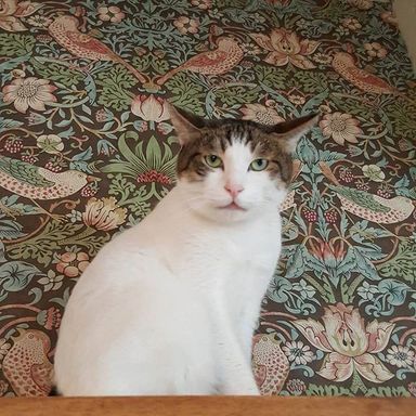 名無しちゃんの写真