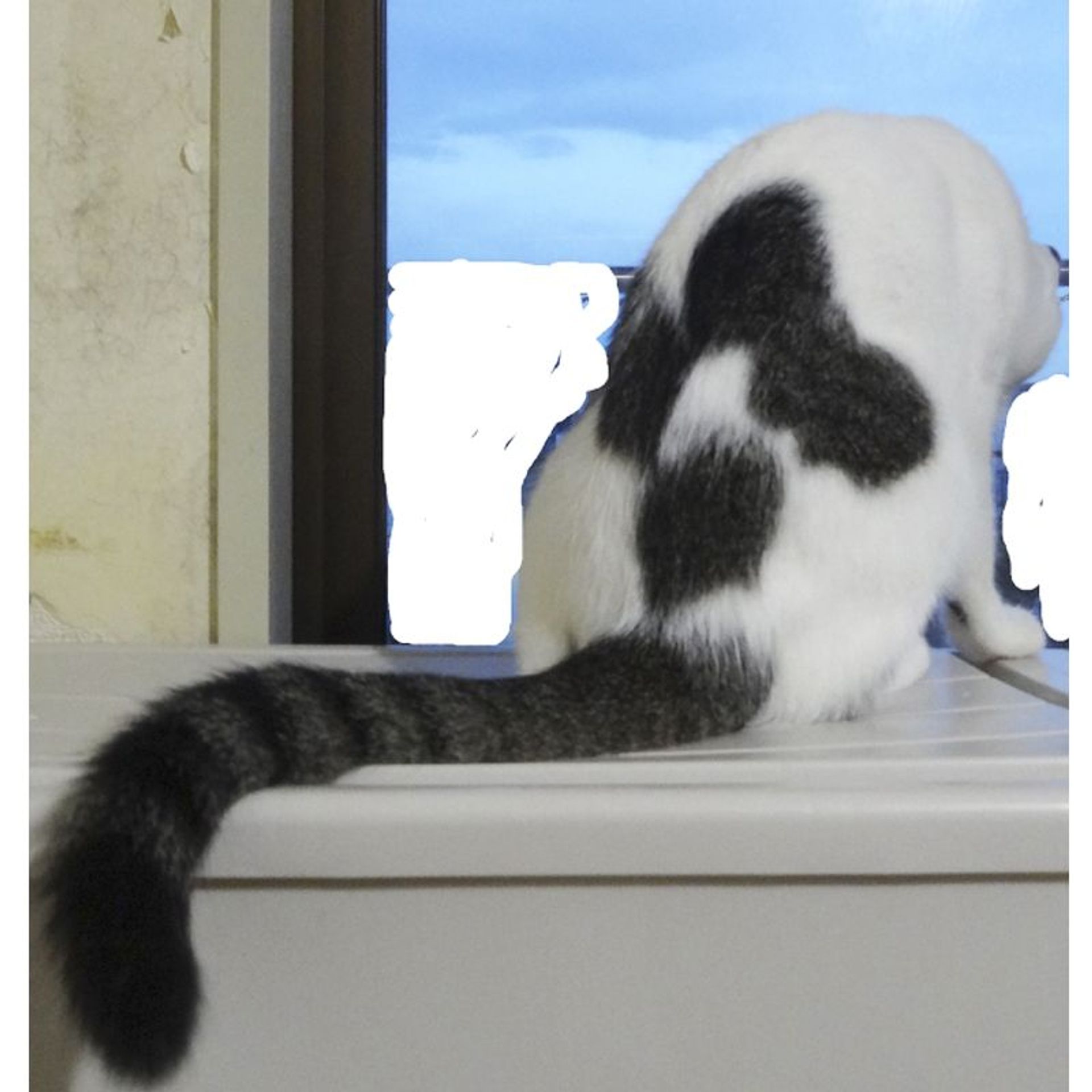 thumbnail-10