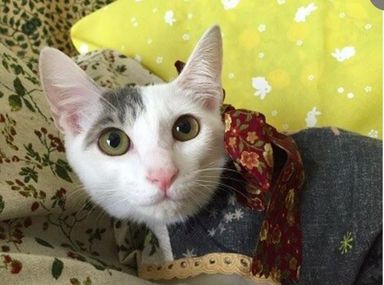 ミツちゃんの写真