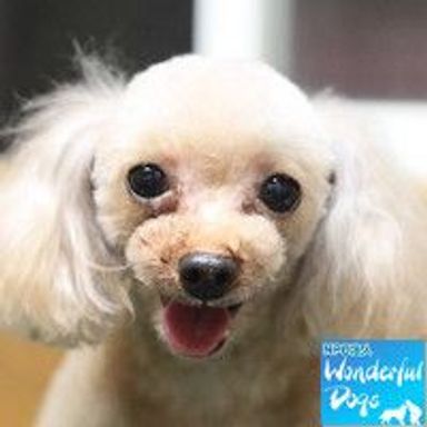 名無しちゃんの写真