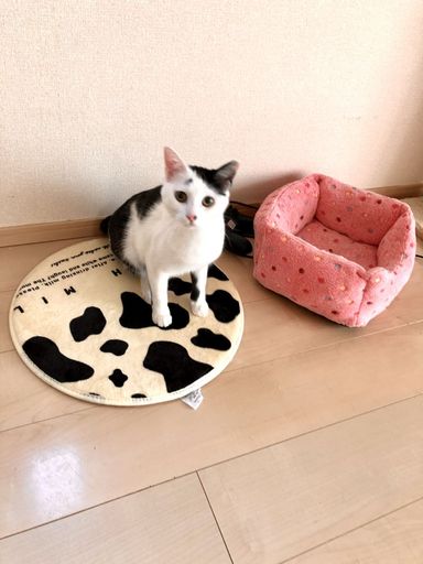 フランの写真