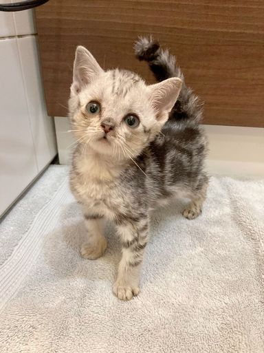 みかんの写真