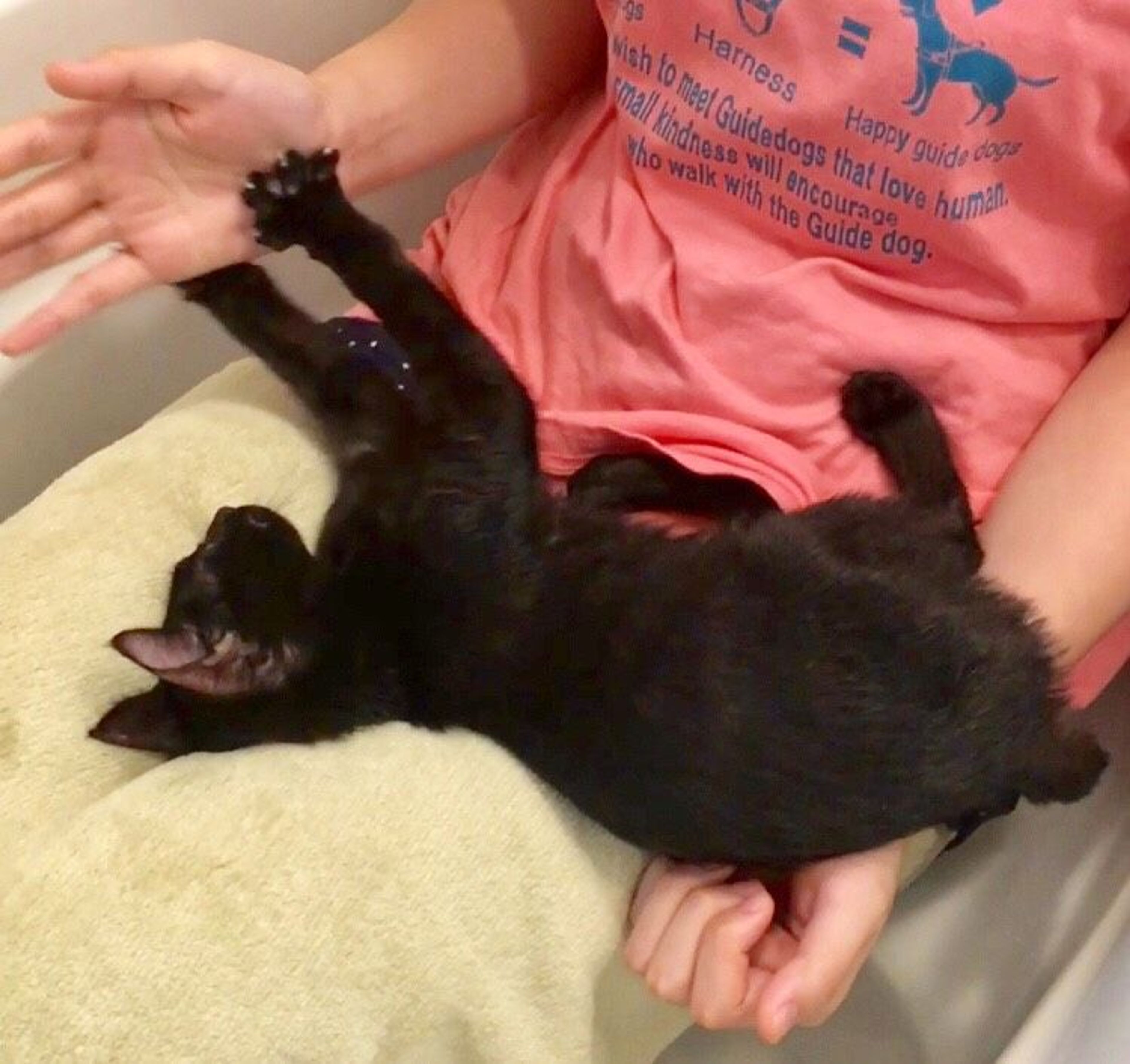 pet-image-3