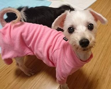 名無しちゃんの写真