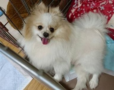 名無しちゃんの写真