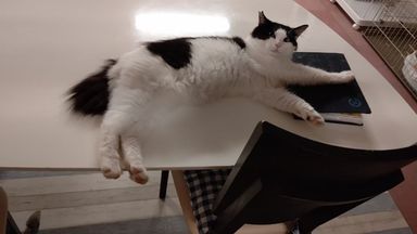 おとうさんの写真