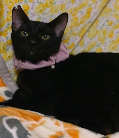 ミントくんの写真