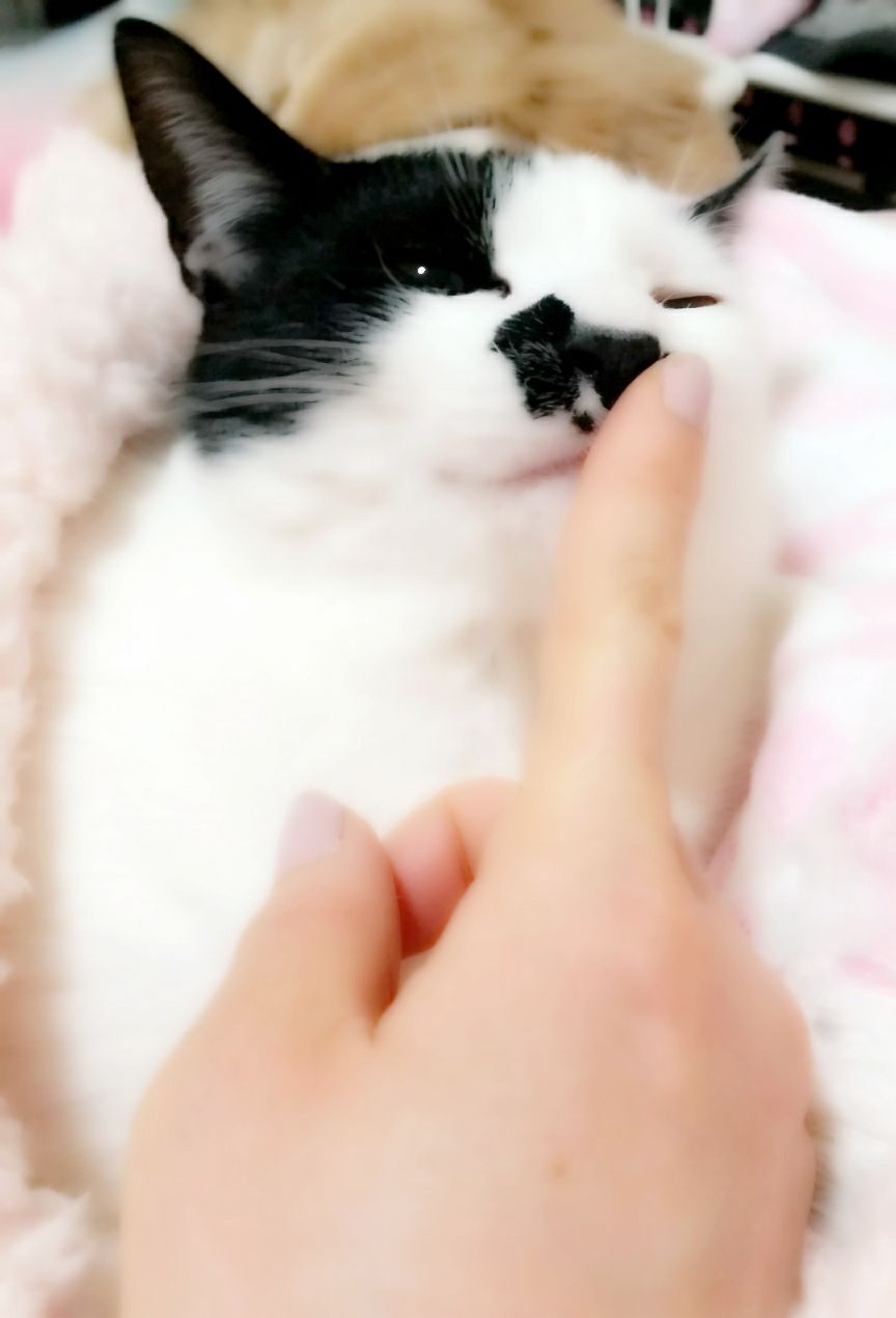 image-8
