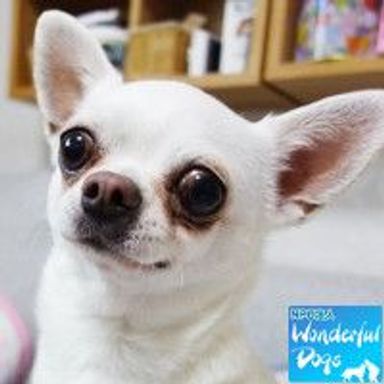 名無しちゃんの写真