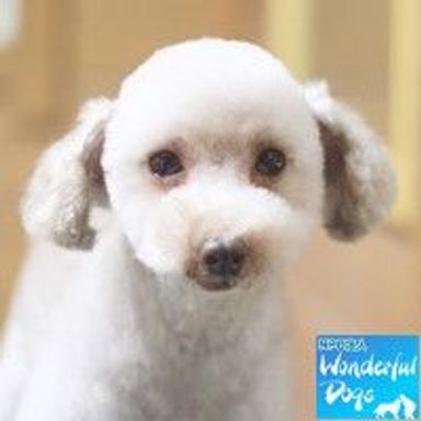 名無しちゃんの写真