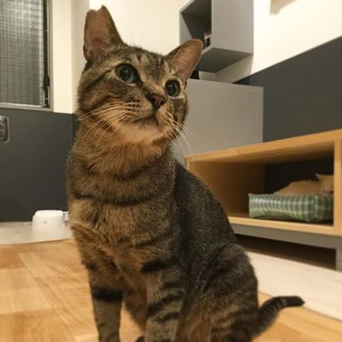 名無しちゃんの写真