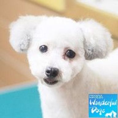 名無しちゃんの写真