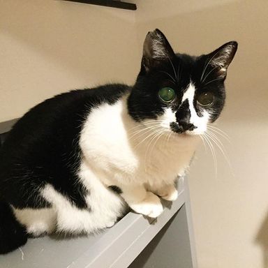 名無しちゃんの写真