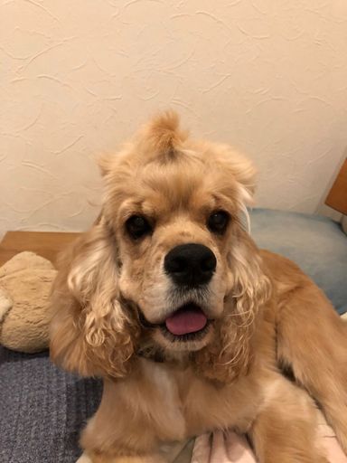 ジェニーの写真
