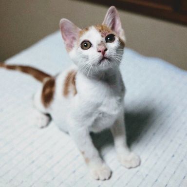 ヤンバルの写真