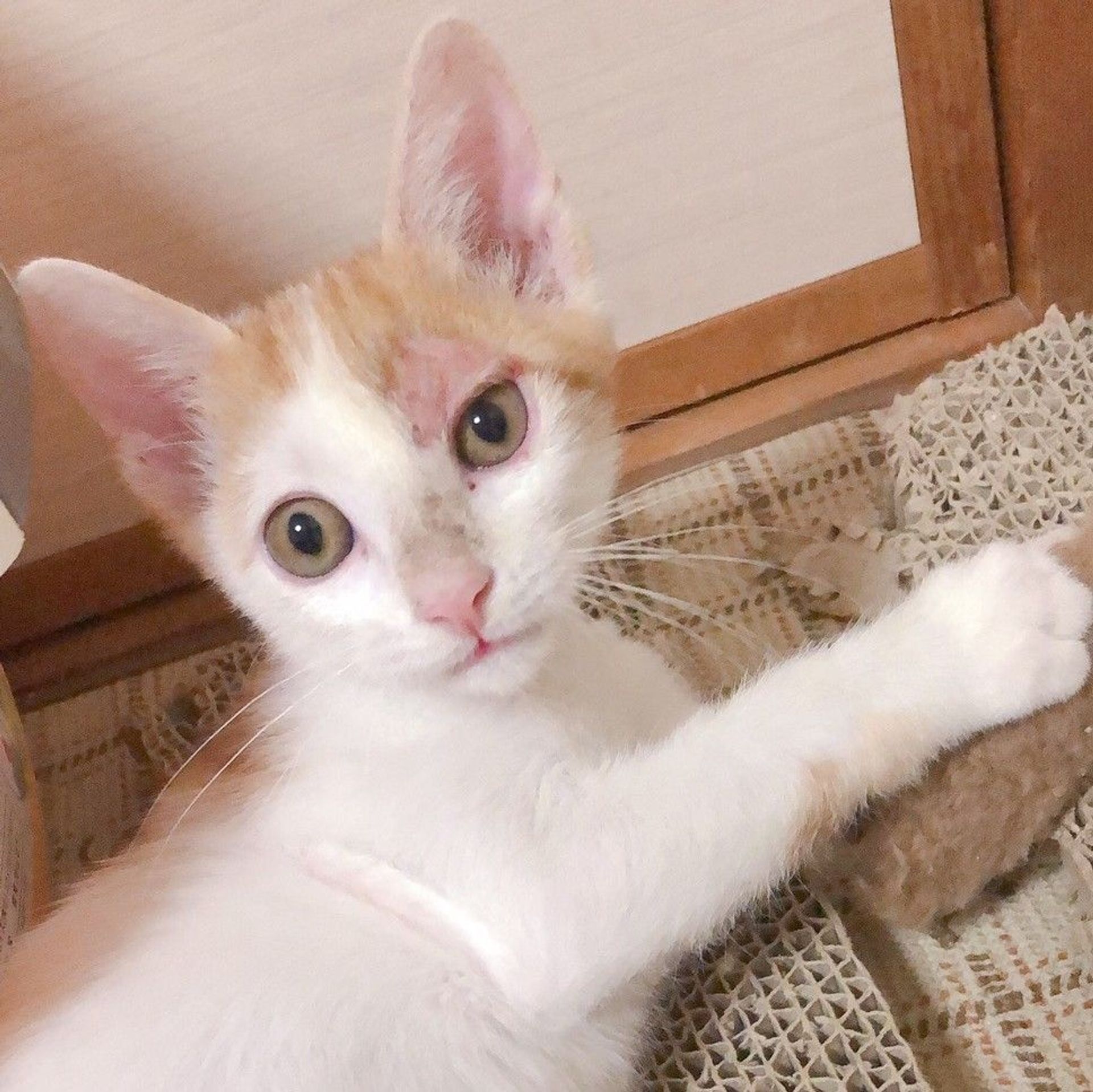 thumbnail-4