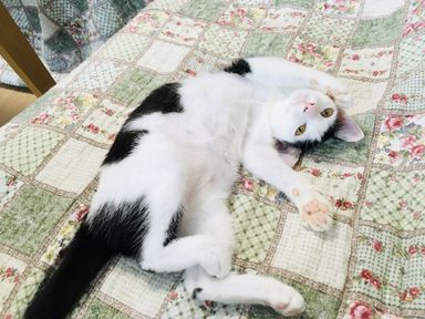 すぅの写真