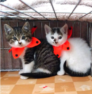 おもち＆つむぎ