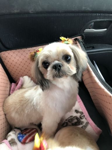きょうかちゃんの写真