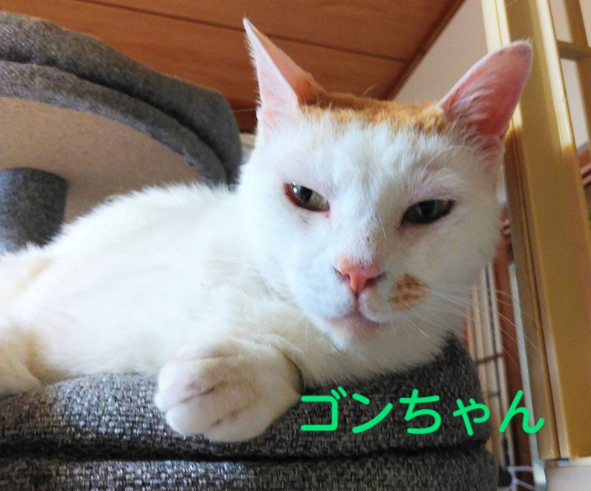thumbnail-2