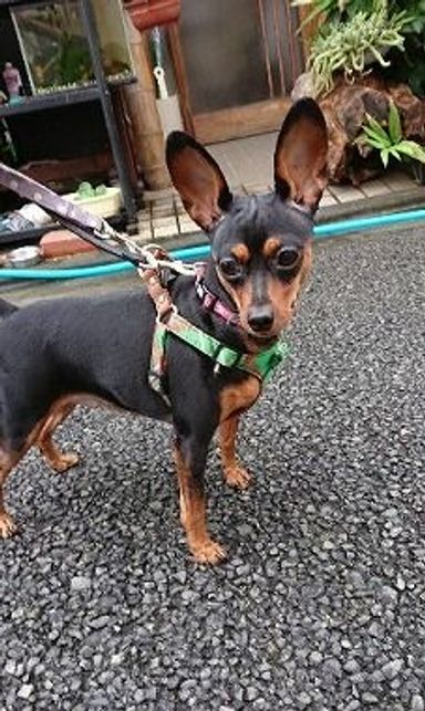 名無しちゃんの写真