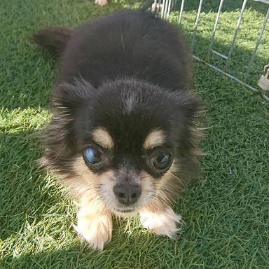 ランドちゃんの写真