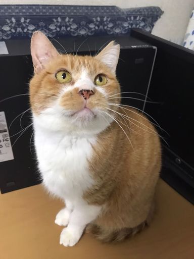 Qちゃんの写真