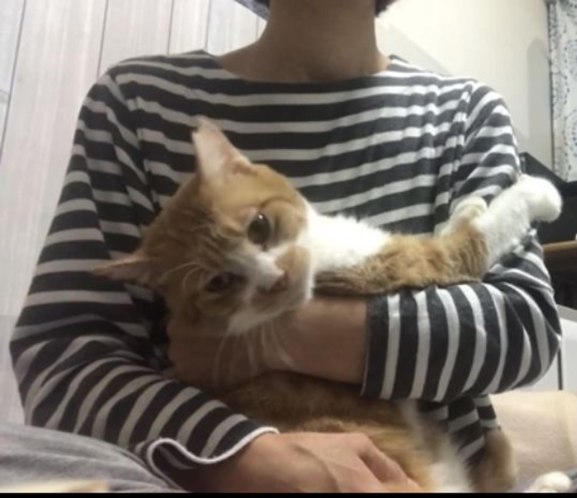 pet-image-7