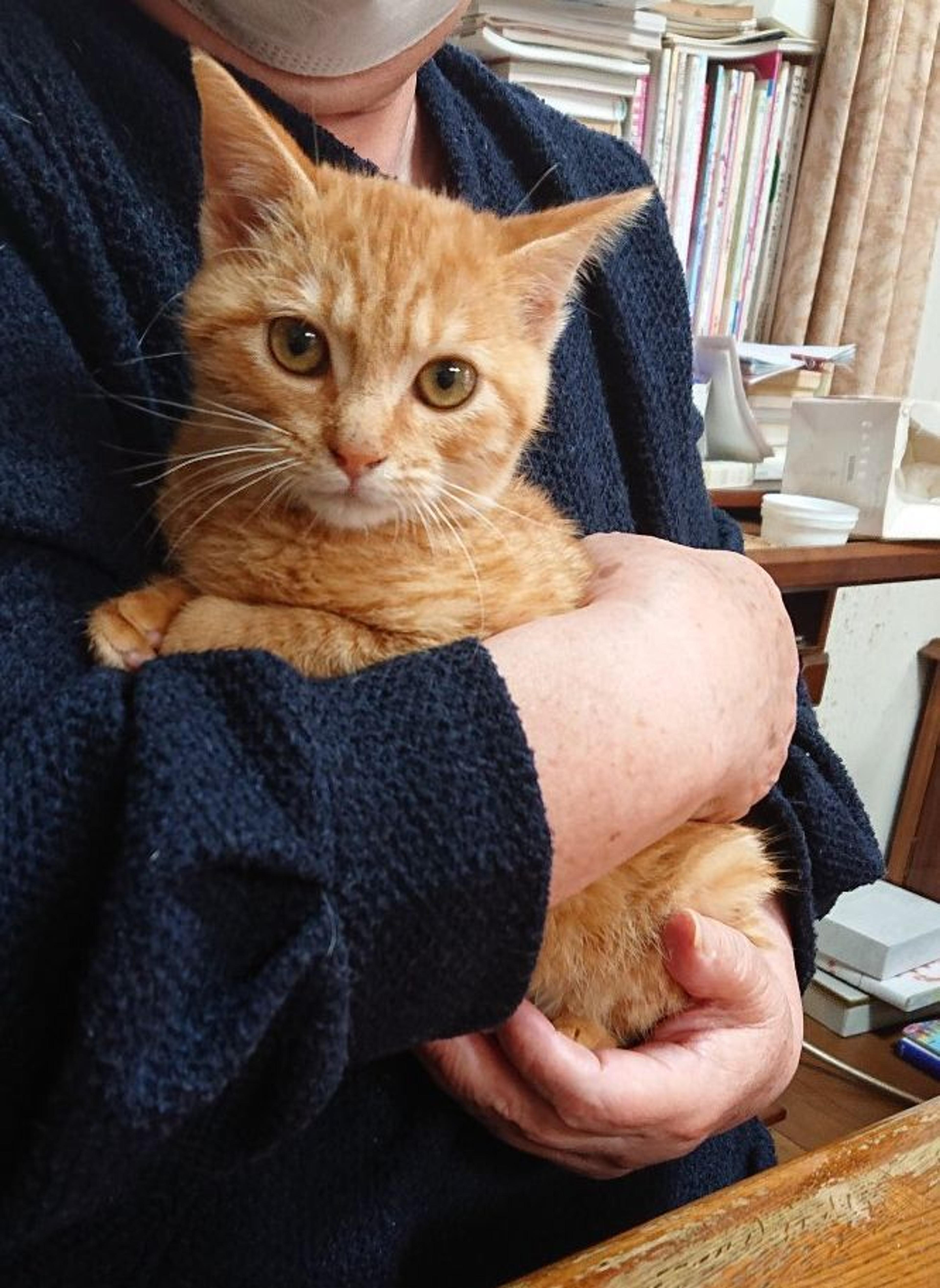 pet-image-2