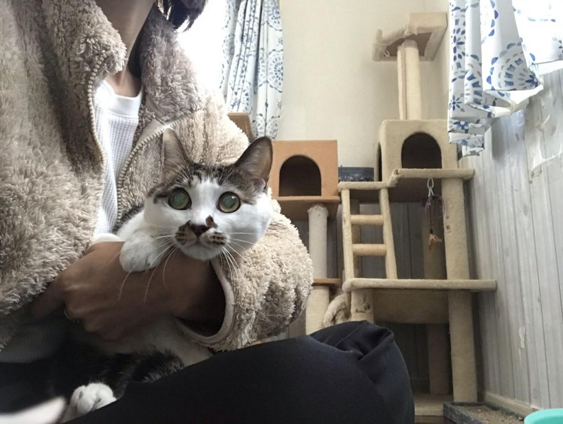 pet-image-6
