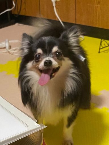 ミックくんの写真