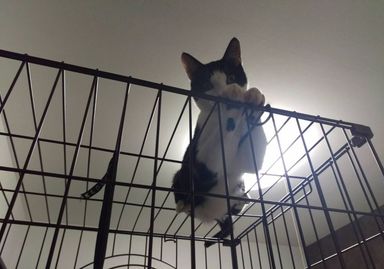 名無しちゃんの写真
