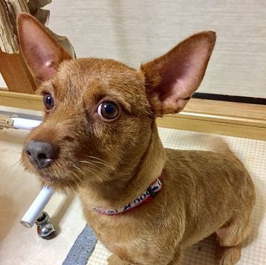 名無しちゃん