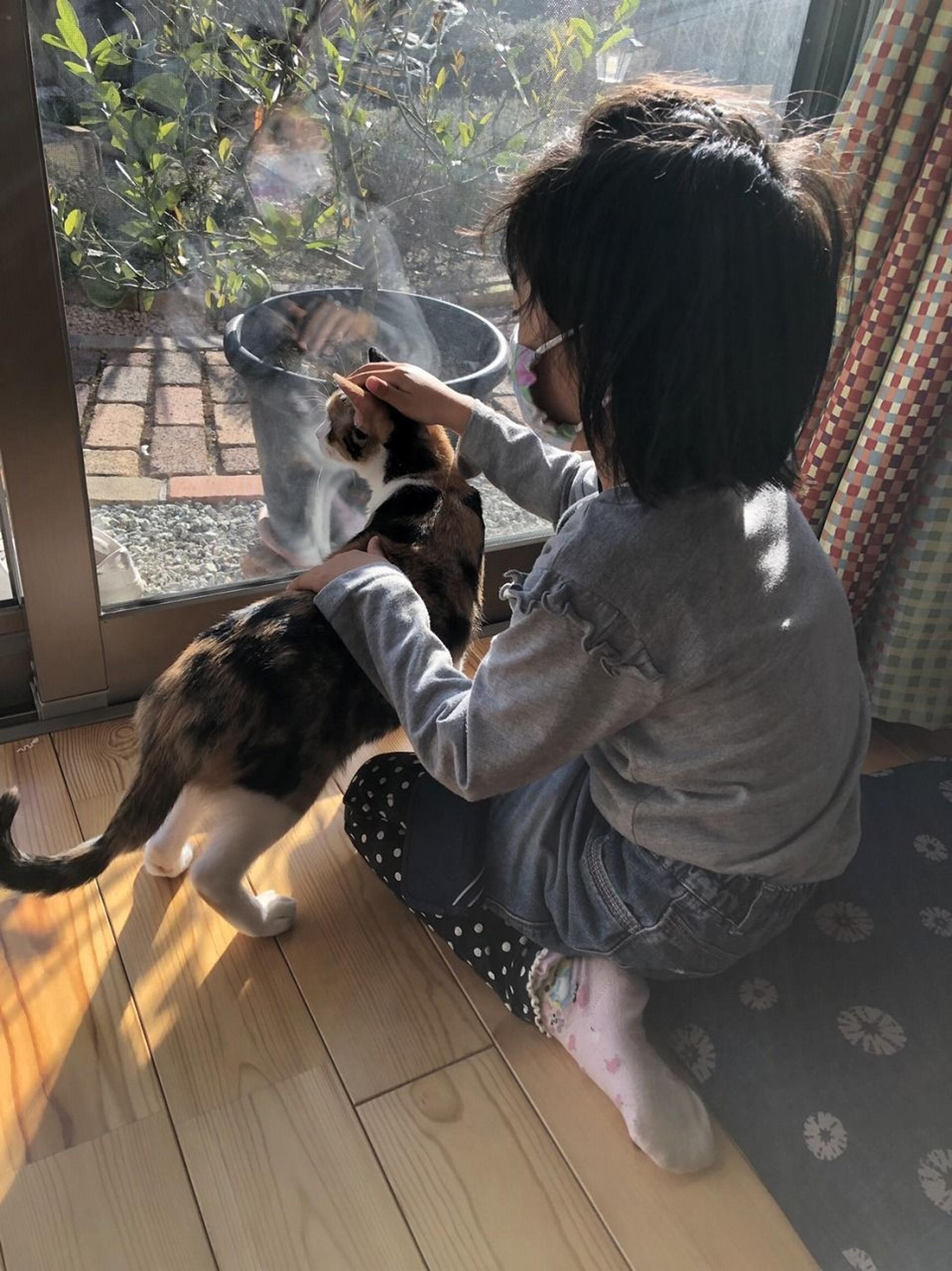 pet-image-4
