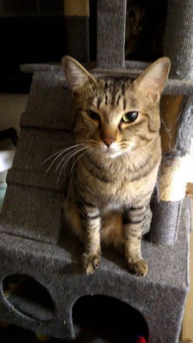はるの写真