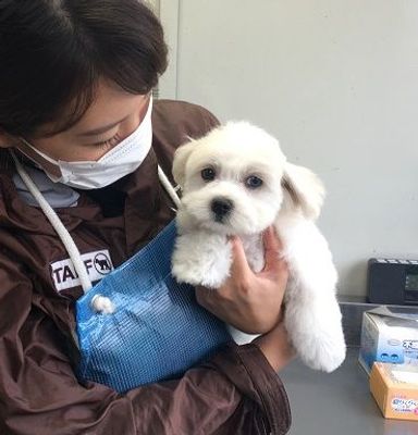 名無しちゃん
