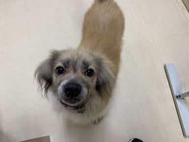 みつの写真