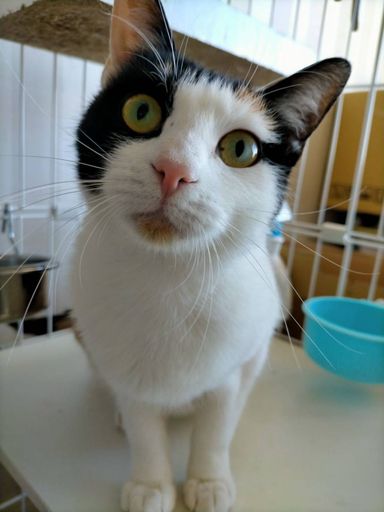 ここみの写真