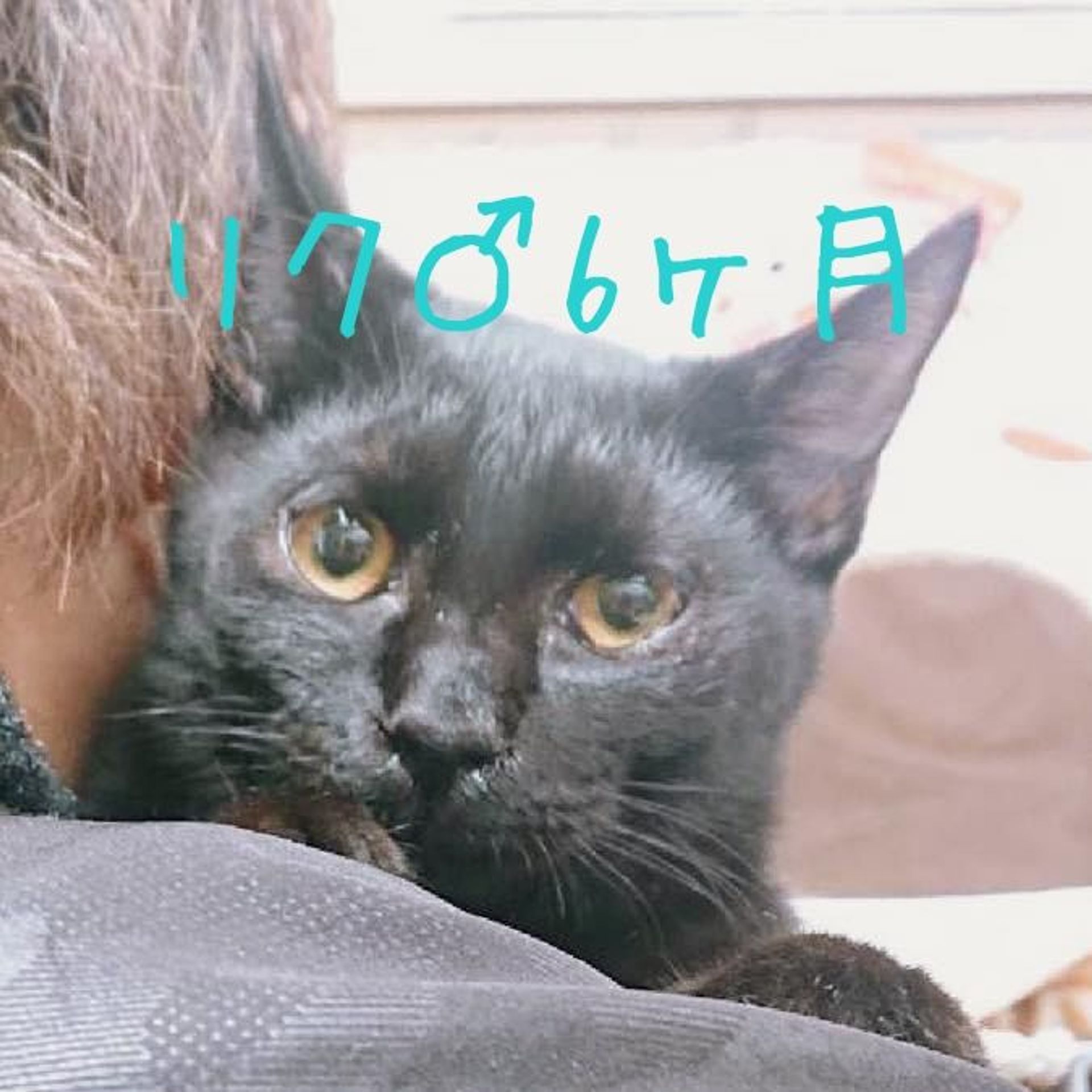 thumbnail-6