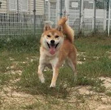 名無しちゃんの写真