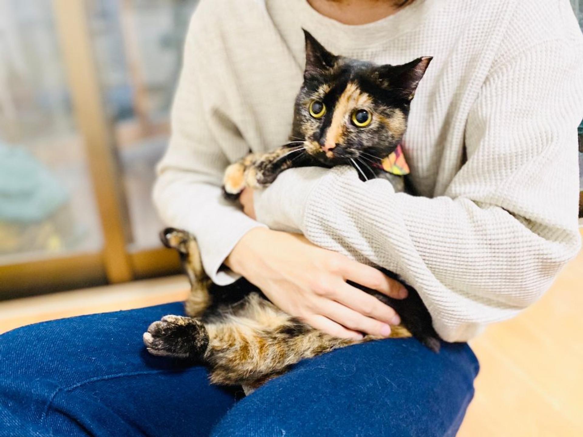 pet-image-5