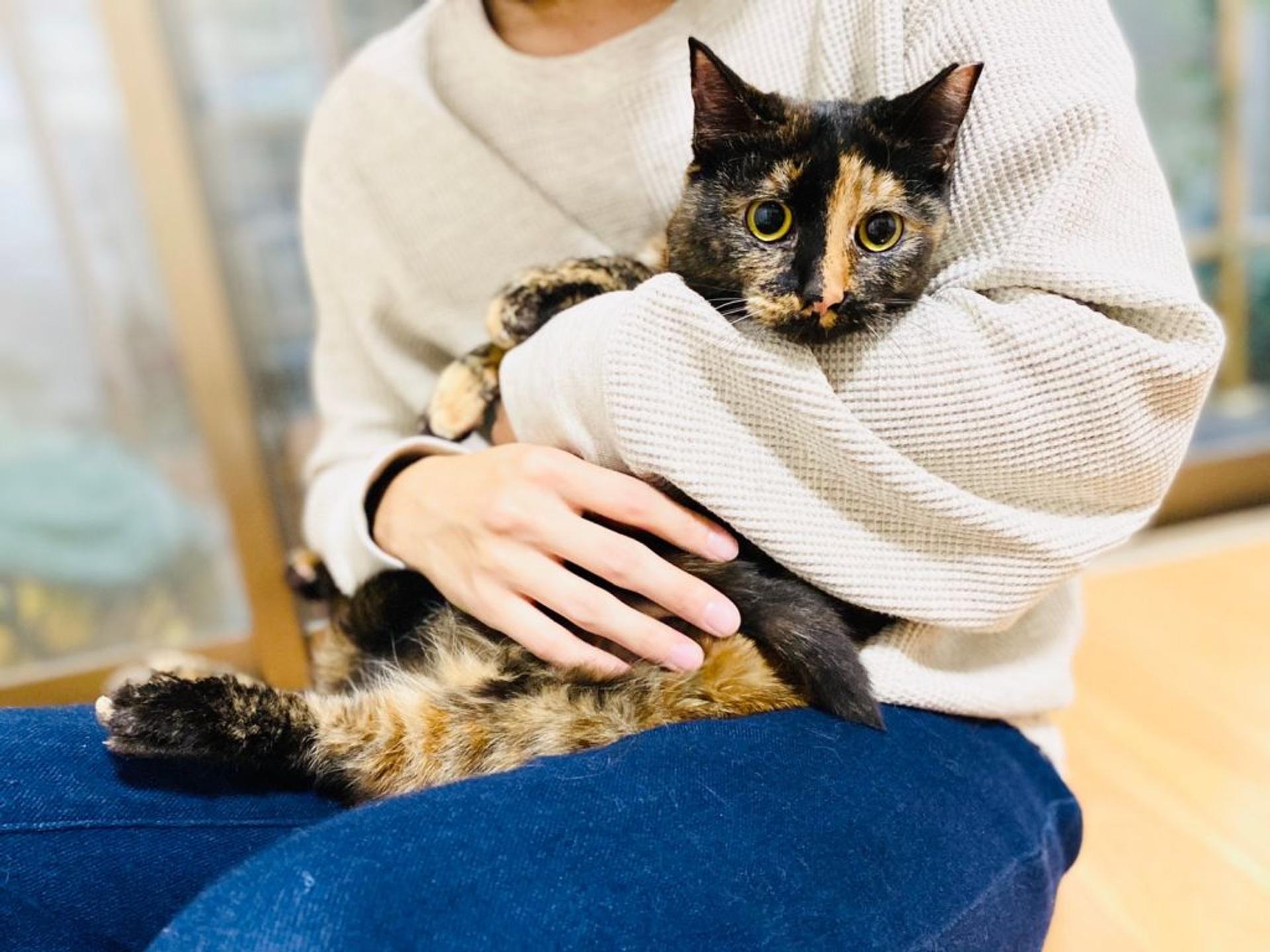 pet-image-7