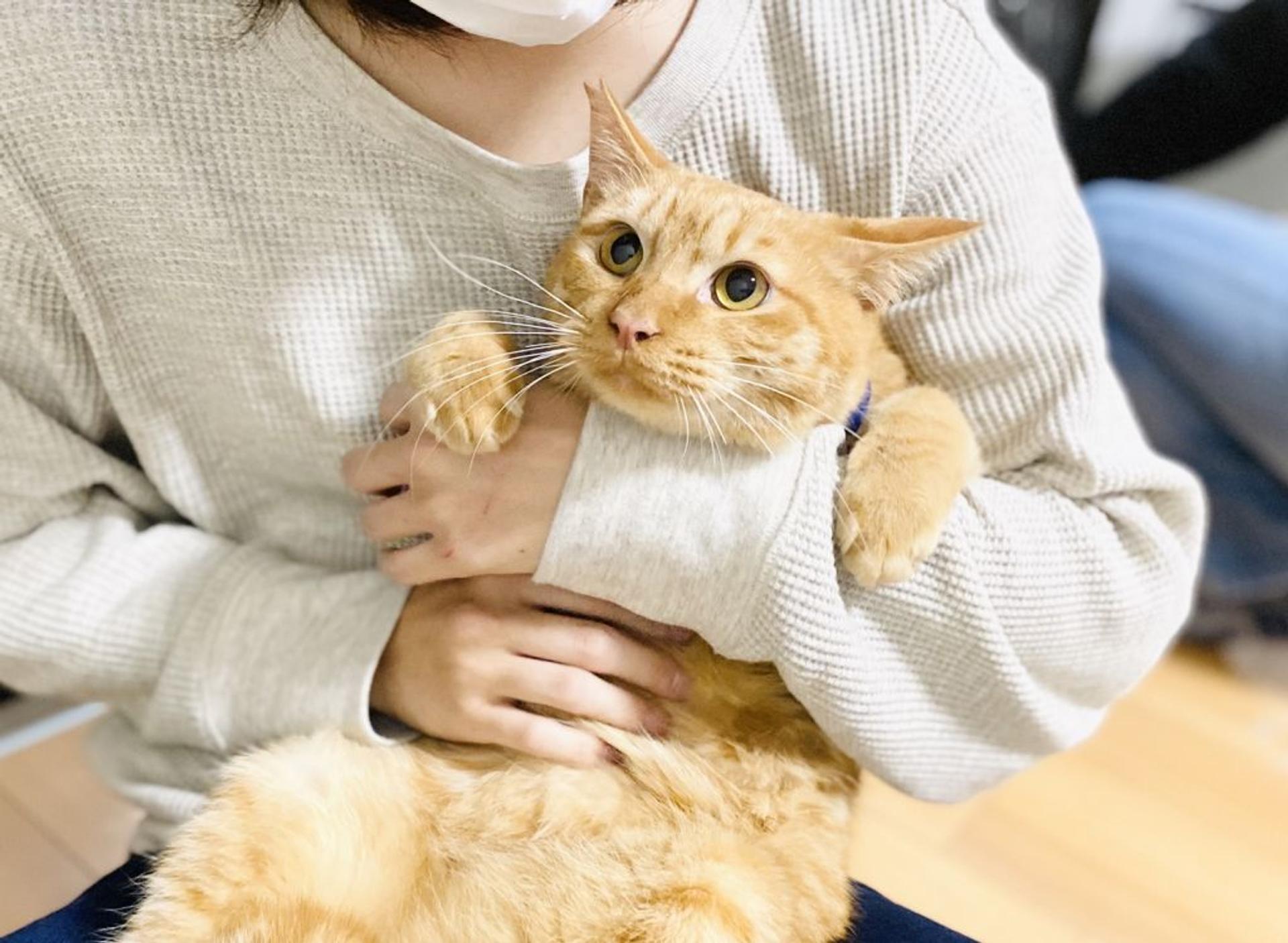pet-image-6