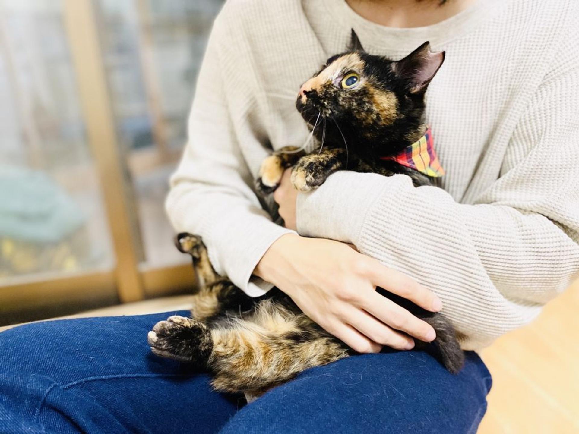 pet-image-5