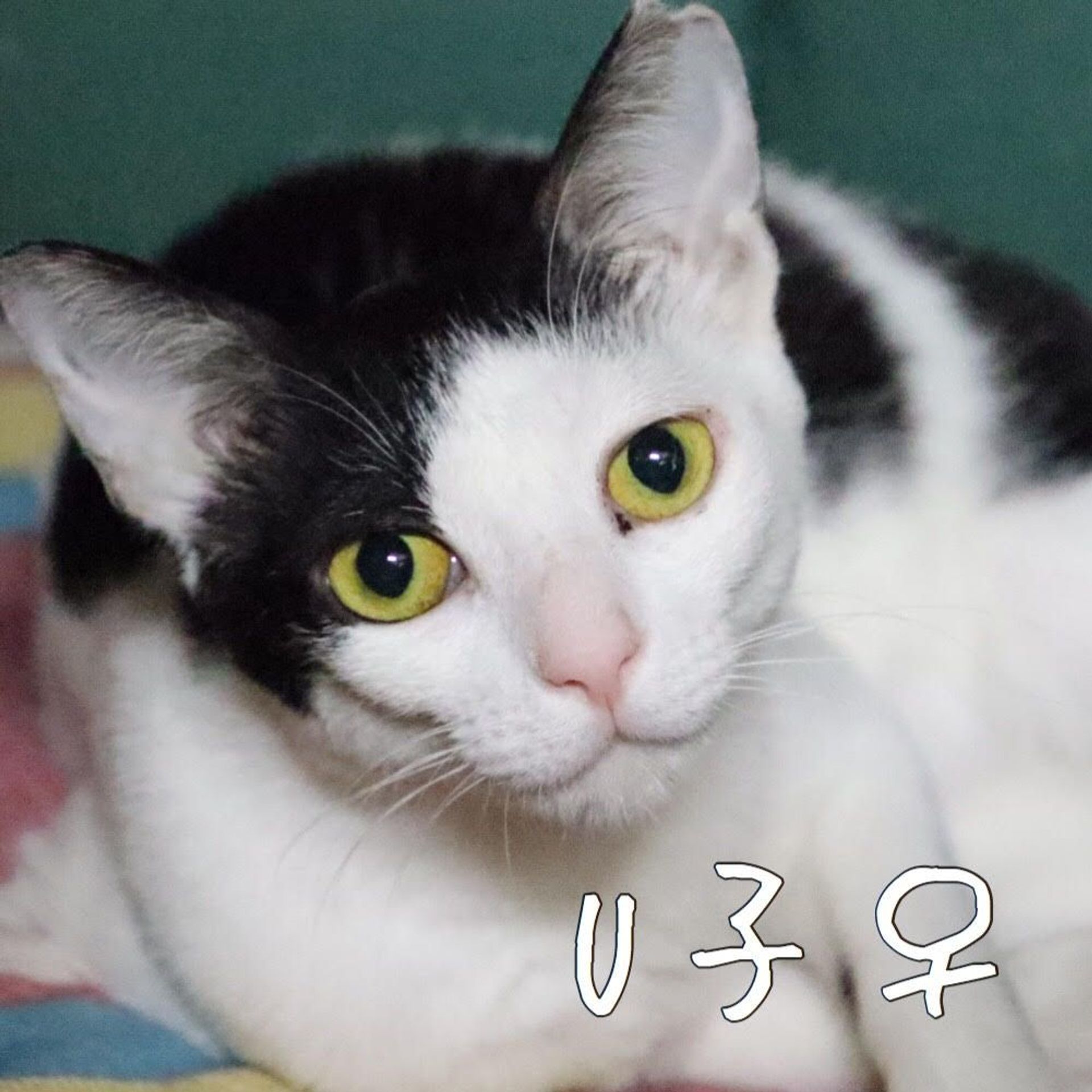 thumbnail-8