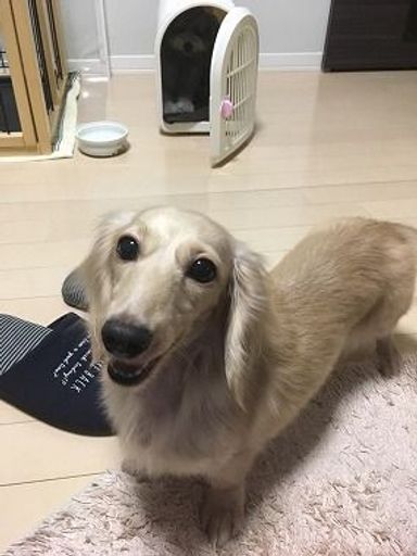 名無しちゃんの写真
